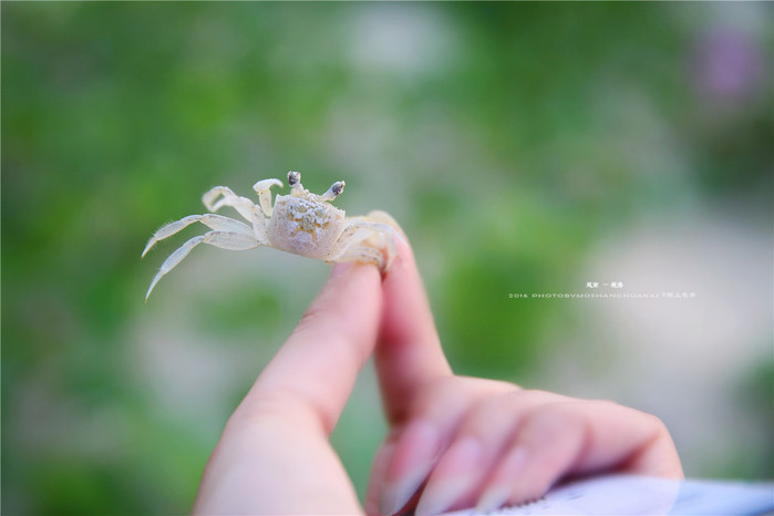 周末越南团进入东兴旅游,节假日去越南旅游怎么样