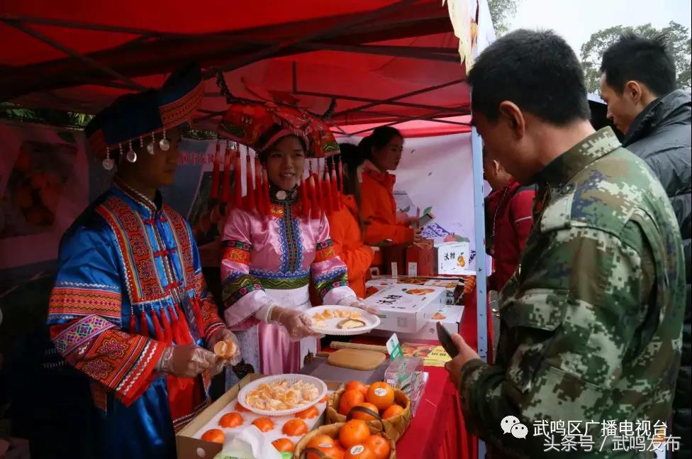 武鸣沃柑开园上市,武鸣沃柑2024发布现场