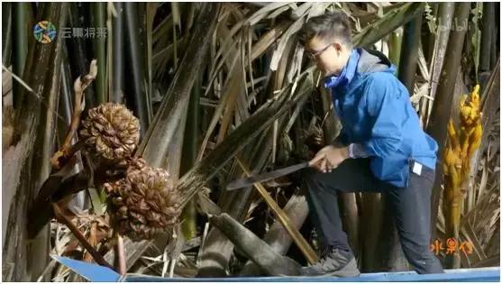 这部汁液四溅的作品勾起了所有人的欲望