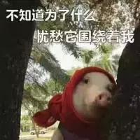 社保在天府新区两年能够在哪买房,成都高新区户口能够在郫县买房