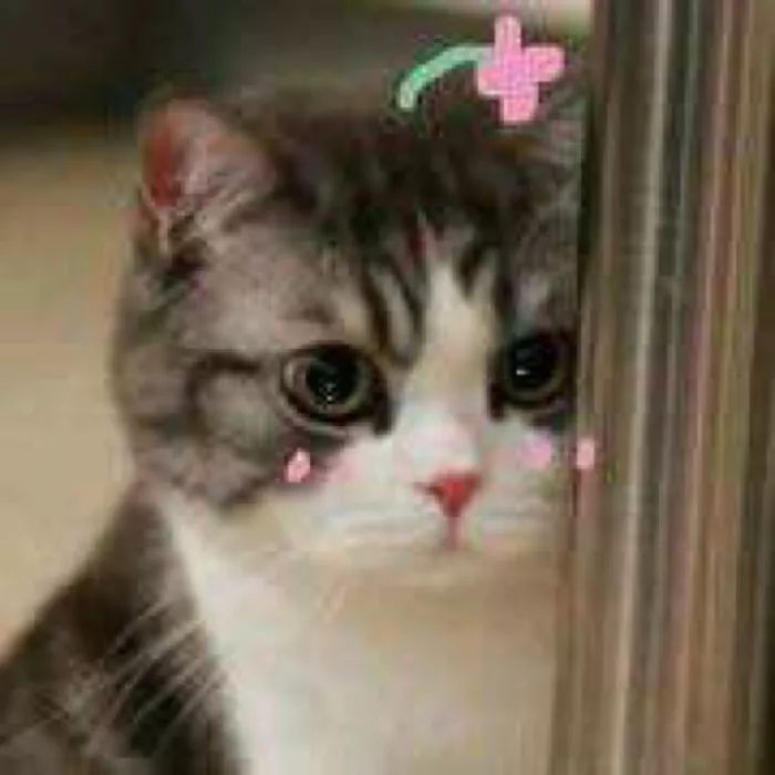 和kiko同价位的口红,kiko口红怎么越来越少了