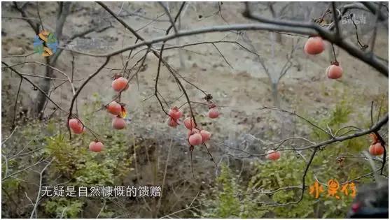 这部汁液四溅的作品勾起了所有人的欲望