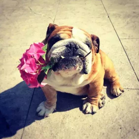 我很丑但是我很温柔是谁谱的曲,我很丑可是我很温柔女生唱