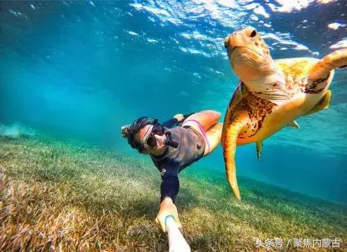 鄂尔多斯海洋馆开放时间,鄂尔多斯海洋馆旅游攻略