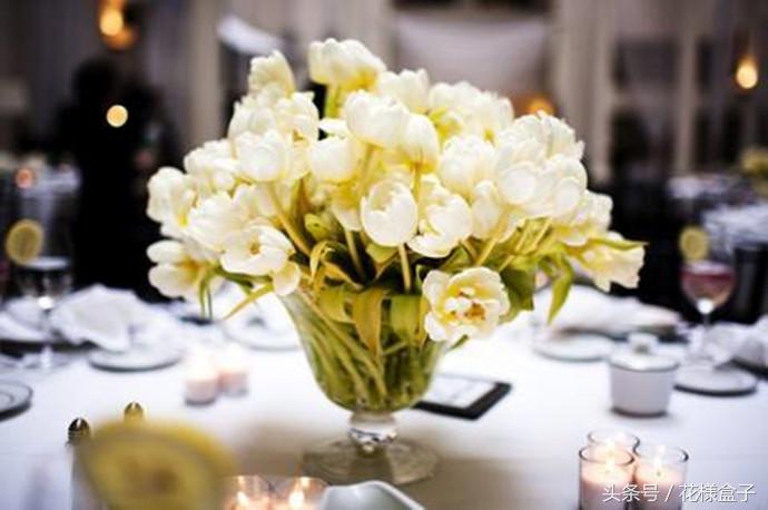 荷兰国花郁金香价格表,荷兰国花郁金香的故事