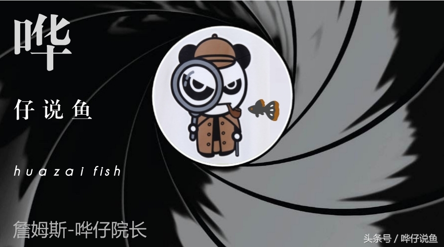 《告水族行业从业人员书》——奇妙的水族店，猥琐的水族店