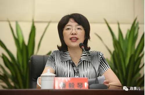 重庆市政府领导调整公示,重庆市政府领导名单公示