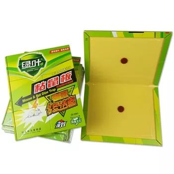 旅行青蛙小青蛙为什么不回来了,旅行青蛙刷爆朋友圈你的蛙去哪了