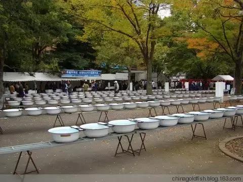 古人夏天如何养鱼,古人养鱼