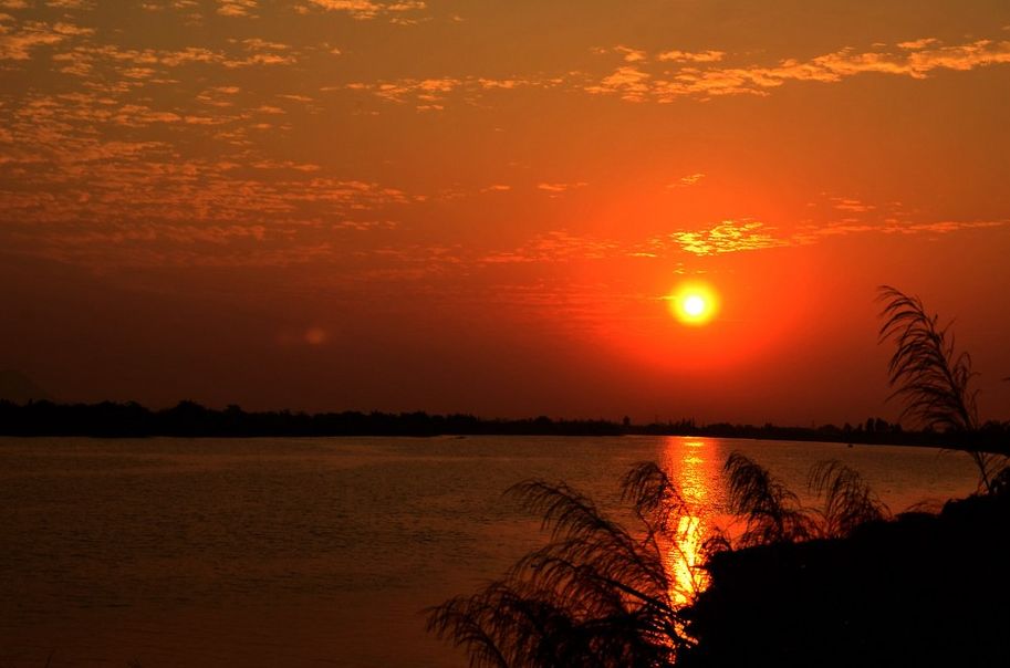 「词风雅韵」风拂青草｜柔柔细语总关情