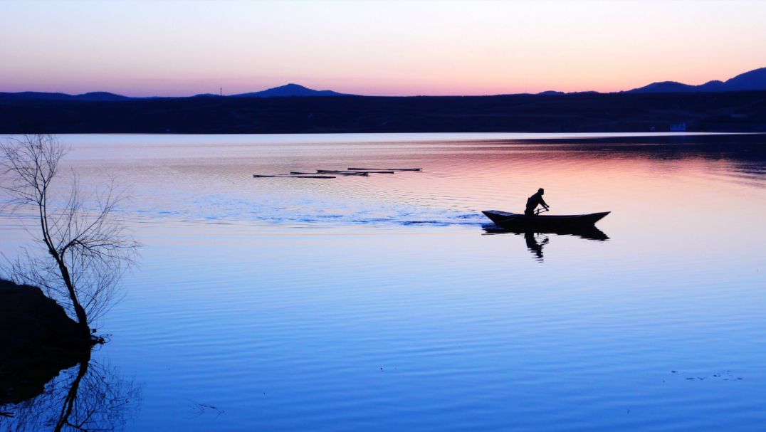 「词风雅韵」风拂青草｜柔柔细语总关情