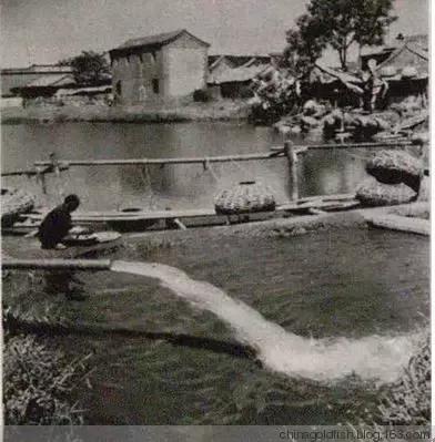 古人夏天如何养鱼,古人养鱼