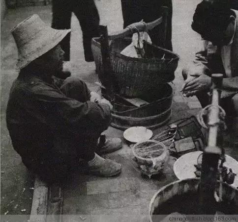 古人夏天如何养鱼,古人养鱼