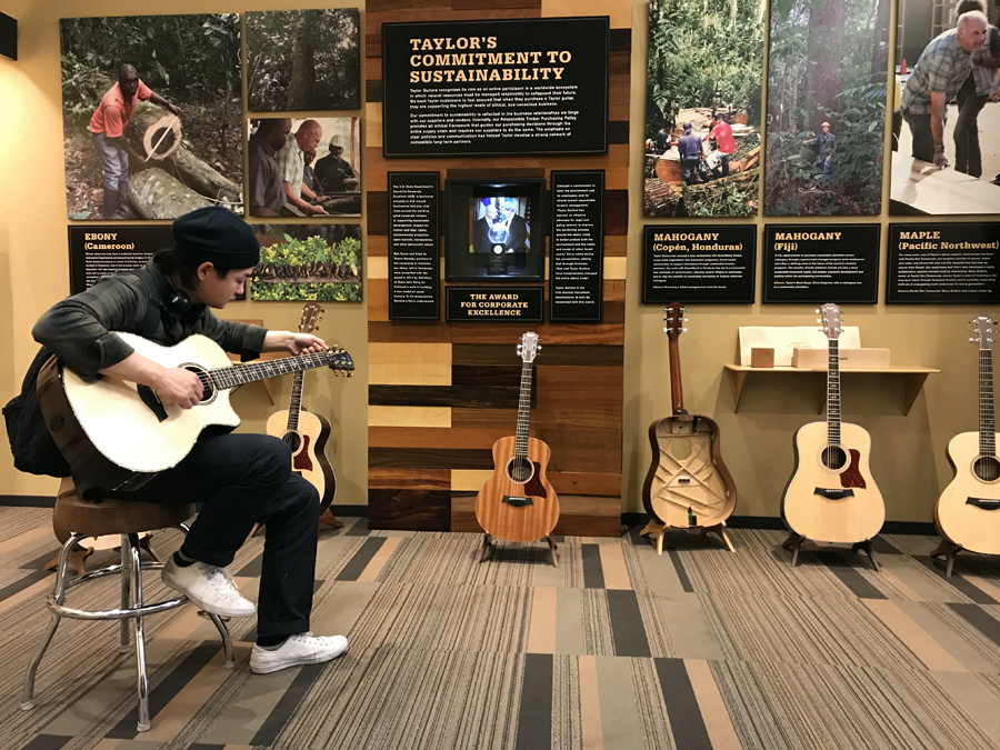 taylor吉他高端,taylor吉他最新