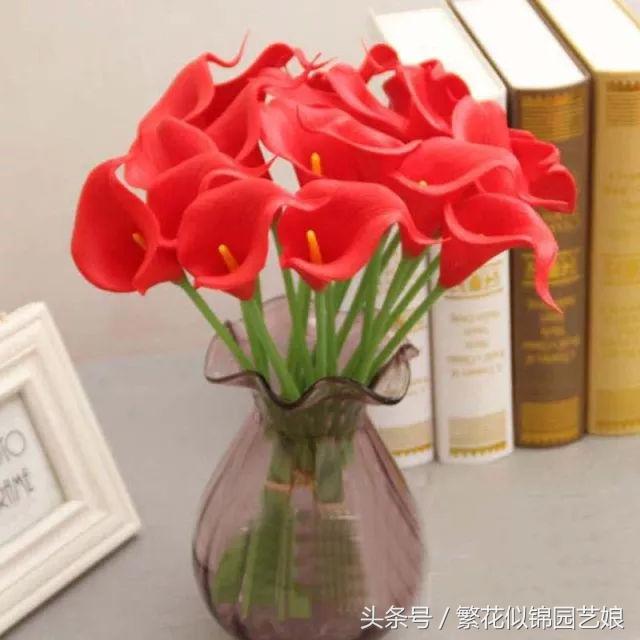 马蹄莲也是特别漂亮的盆栽花卉,马蹄莲切花的养殖方法