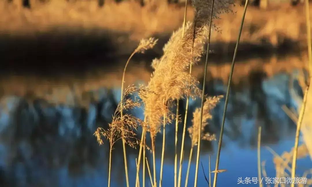 张家口下花园推荐,低调豪华的小城