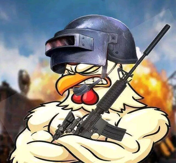 绝地求生吃鸡电脑配置选什么内存,绝地求生吃鸡帧数属性代码