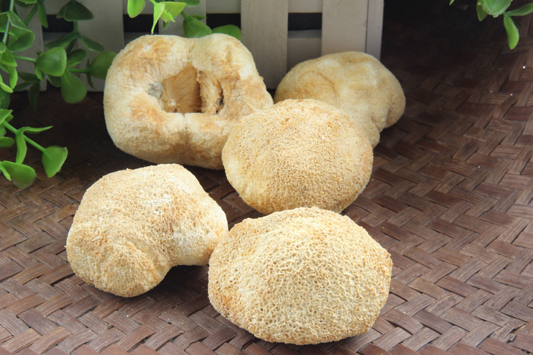 猴头菇合适什么季节煲汤,养生猴头菇怎么吃好吃呢