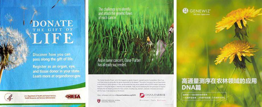 蒲公英为灵感的创意设计,蒲公英相关设计