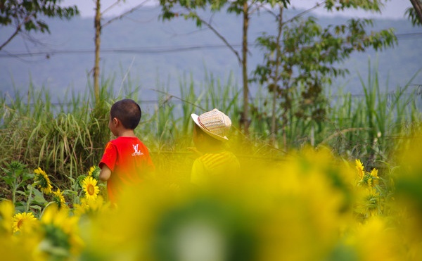 春节到了支个招，让“最熟悉的陌生人”成为你的至亲至爱