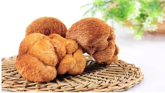 猴头菇合适什么季节煲汤,养生猴头菇怎么吃好吃呢
