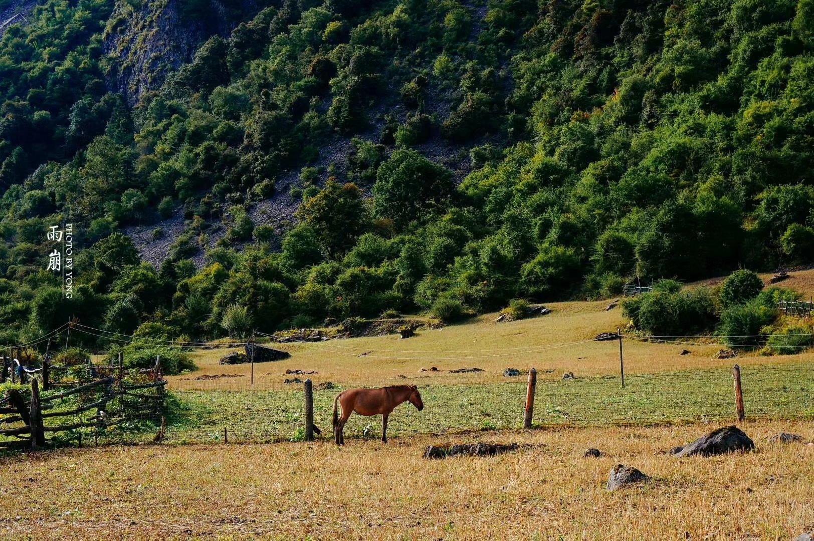 天堂雨崩9完全版,天堂雨崩卡瓦格博