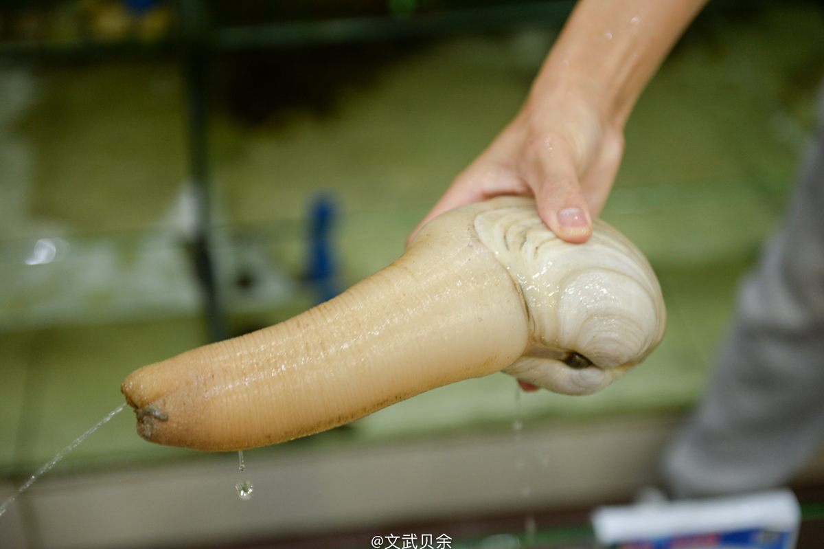 三亚海棠湾吃货攻略,三亚美食攻略最详细