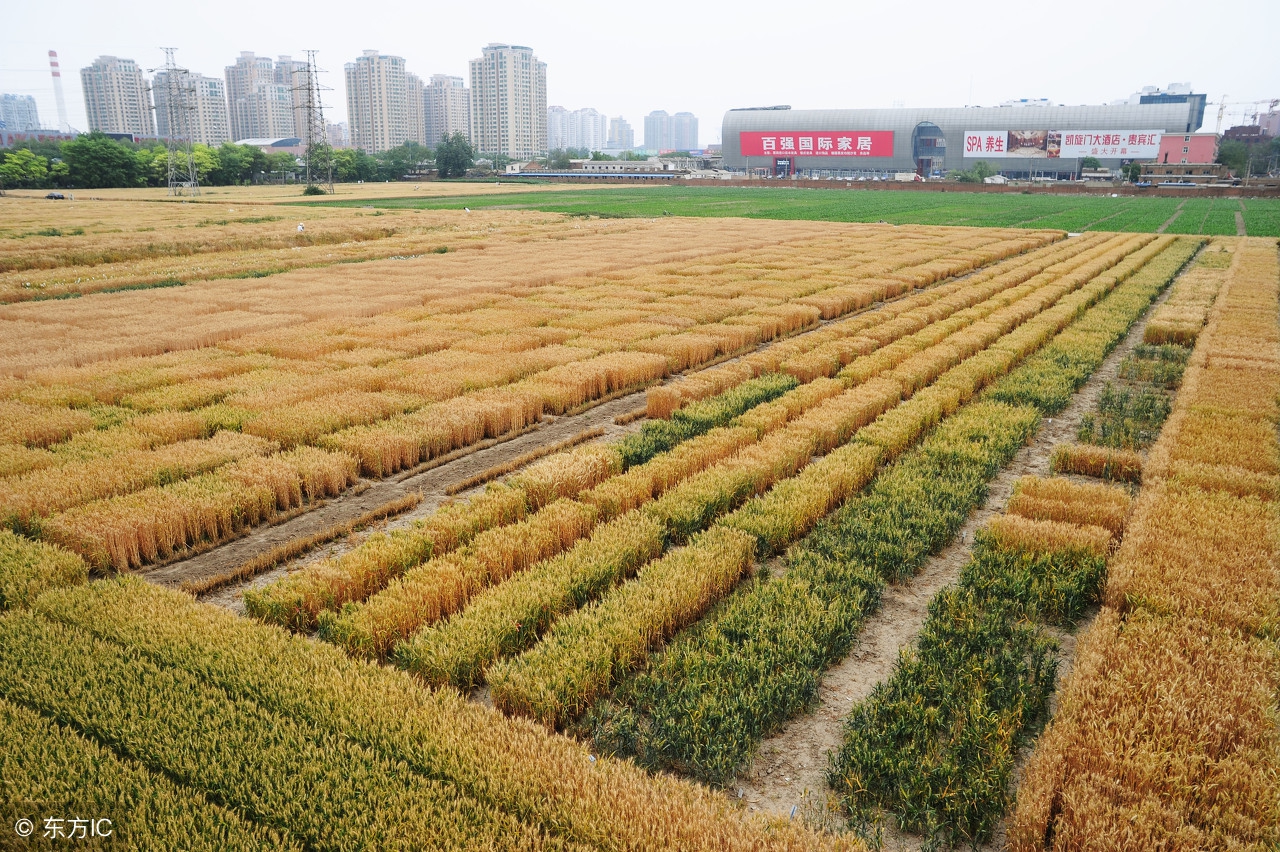 住北京农村不上班是什么体验,农民第一次去北京打工感受