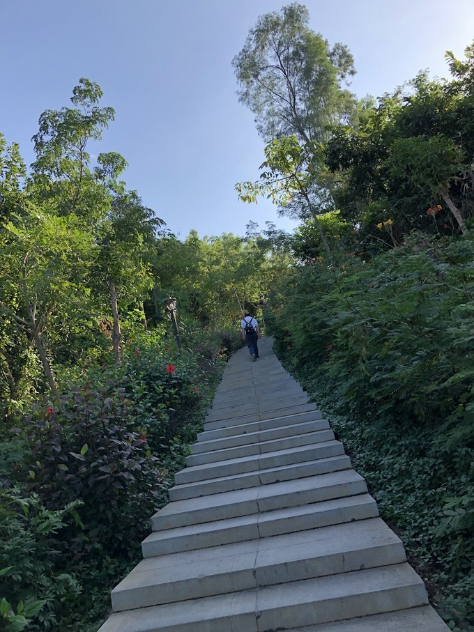 初次带着爸妈去旅行海南三亚-海口六日随心游