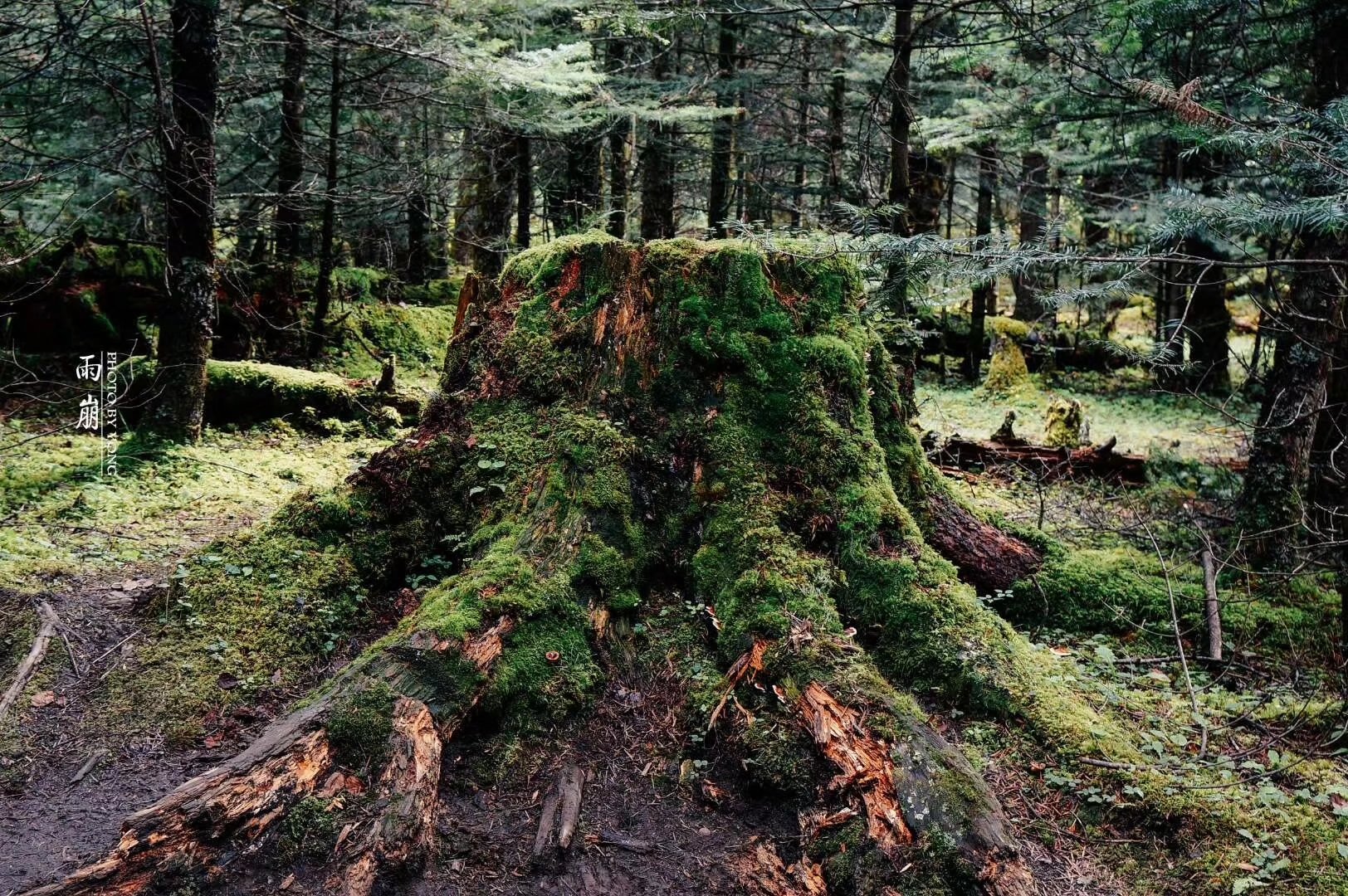 天堂雨崩9完全版,天堂雨崩卡瓦格博