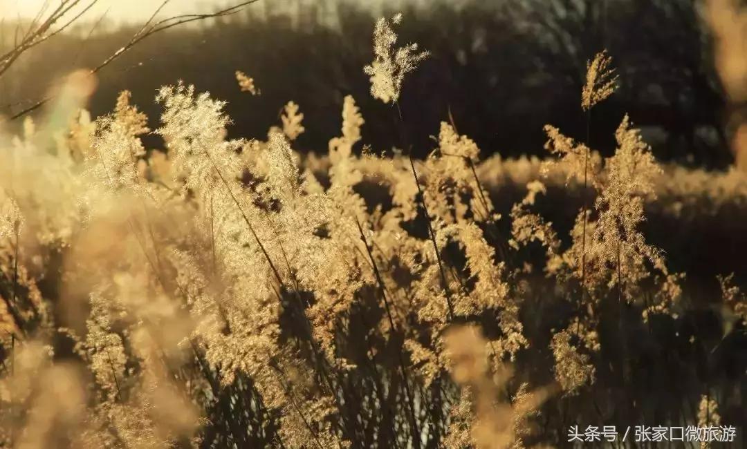 张家口下花园推荐,低调豪华的小城