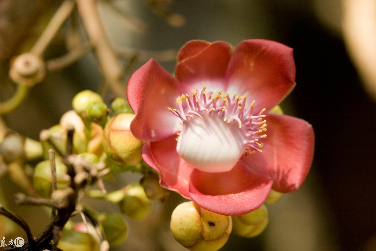 不被在乎的三种人,你应该在乎的三种人