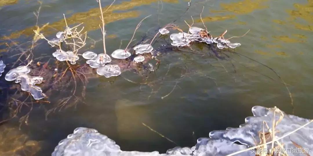 张家口下花园推荐,低调豪华的小城