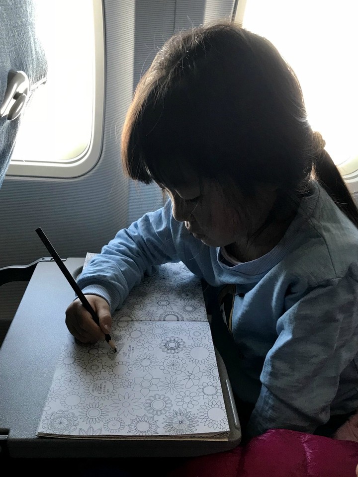 两天一晚珠海长隆旅游攻略,珠海长隆旅行一日游需要准备什么