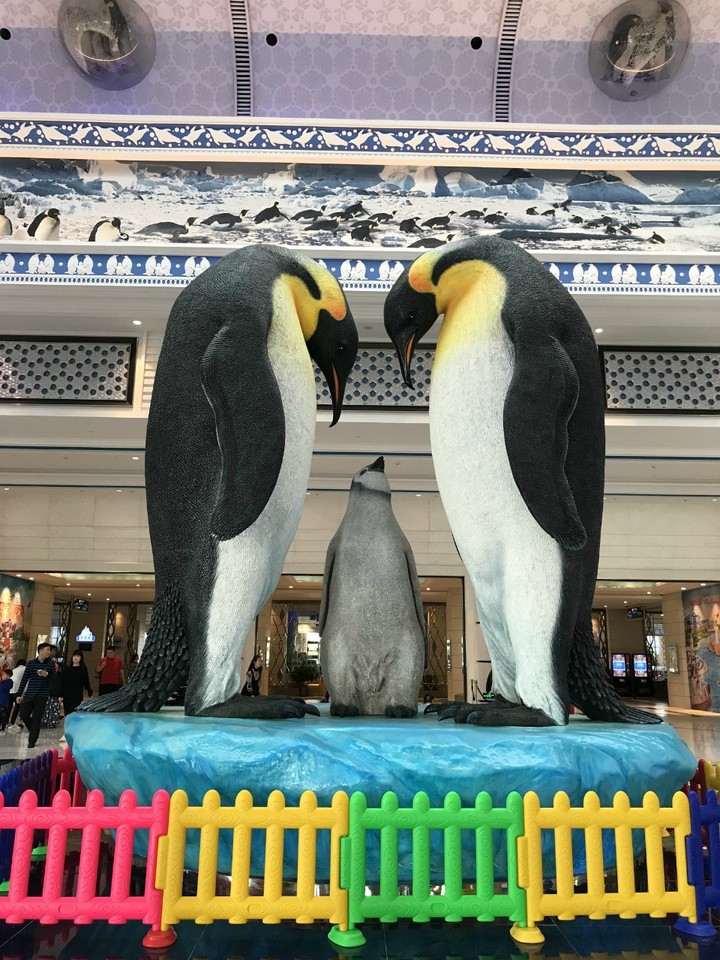 两天一晚珠海长隆旅游攻略,珠海长隆旅行一日游需要准备什么