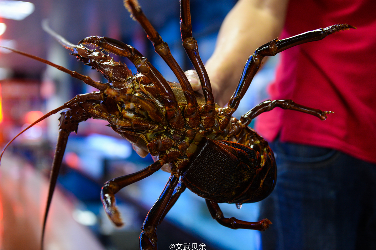 三亚海棠湾吃货攻略,三亚美食攻略最详细