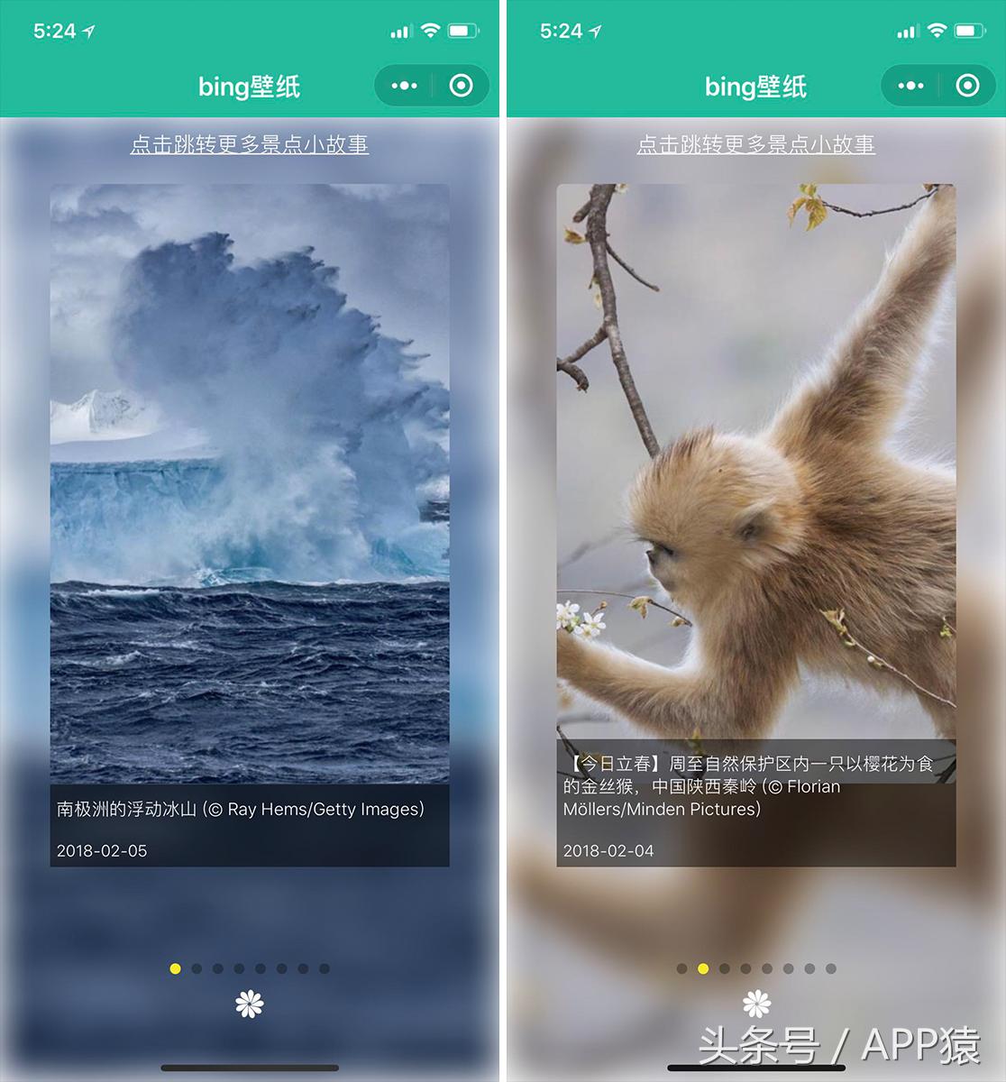 推荐一个超好用的手机壁纸软件,每日壁纸推荐总有一款合适你
