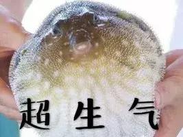 iphone无法开始来电预警,iphone无缘无故封锁来电