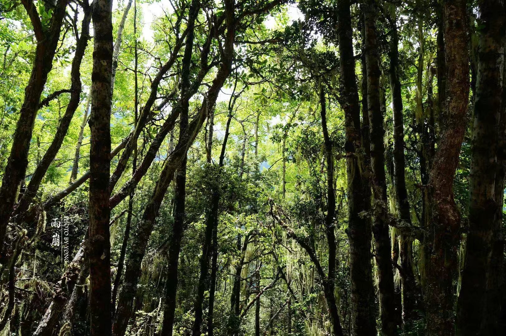 天堂雨崩9完全版,天堂雨崩卡瓦格博