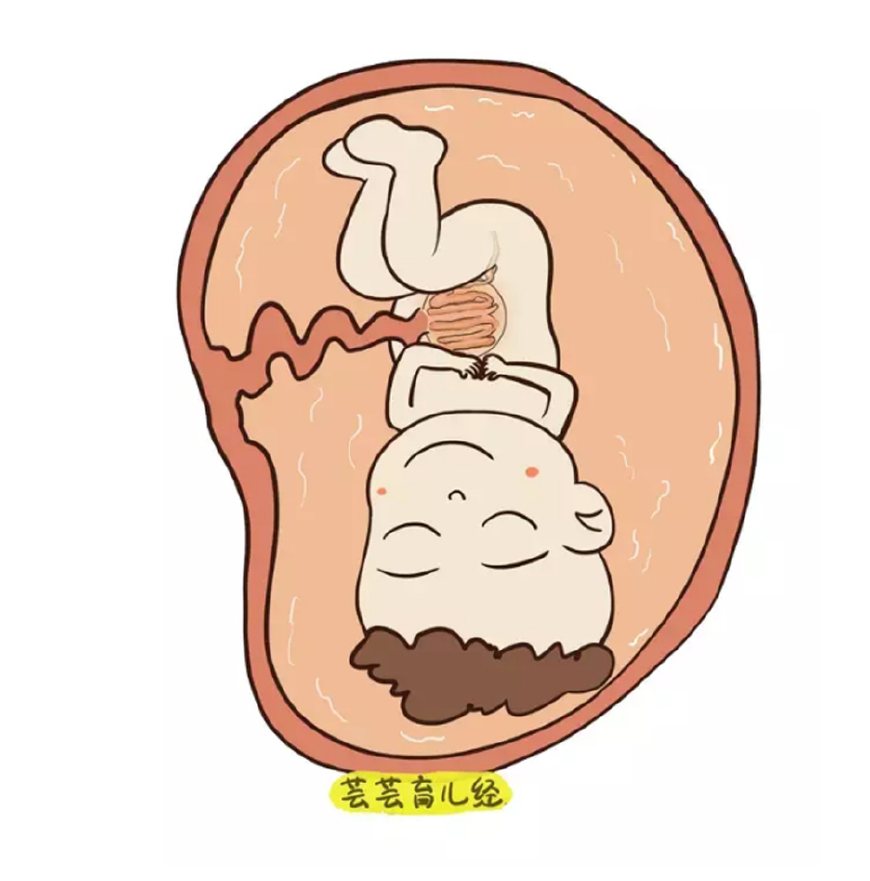 羊水意思,羊水为什么叫羊水它都有什么功能