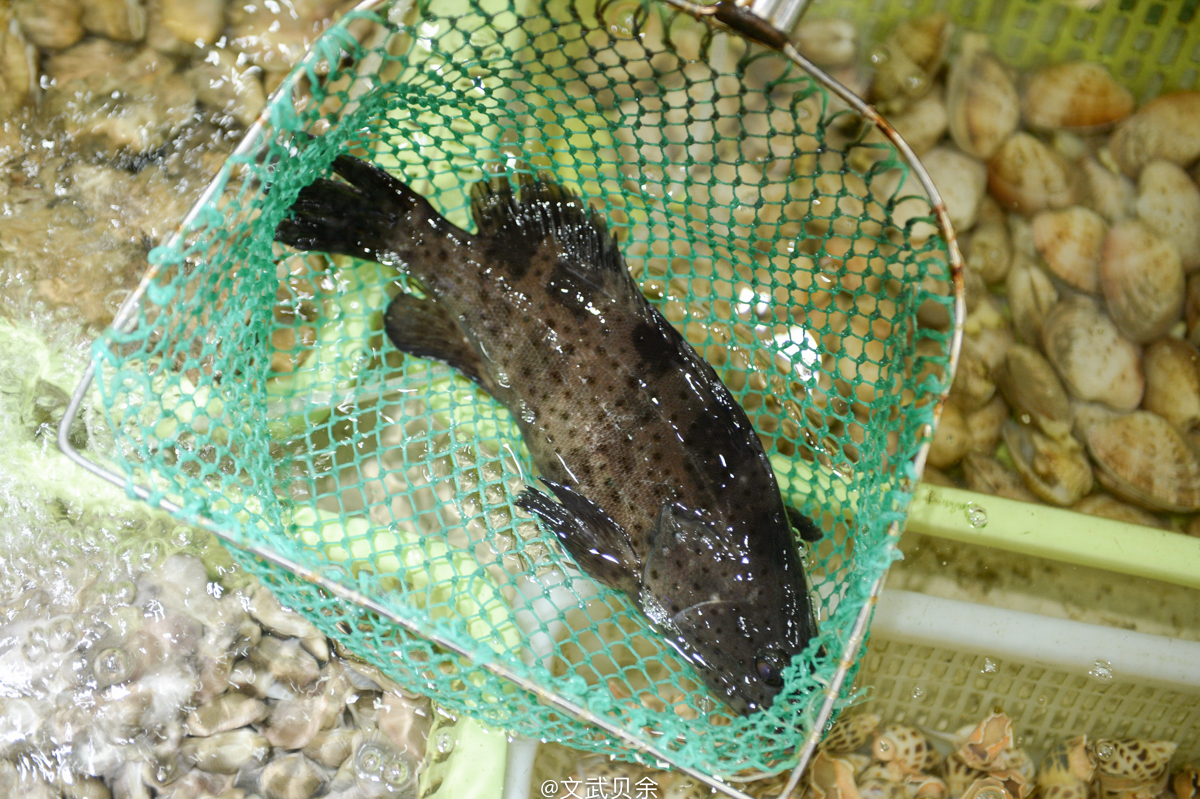 三亚海棠湾吃货攻略,三亚美食攻略最详细