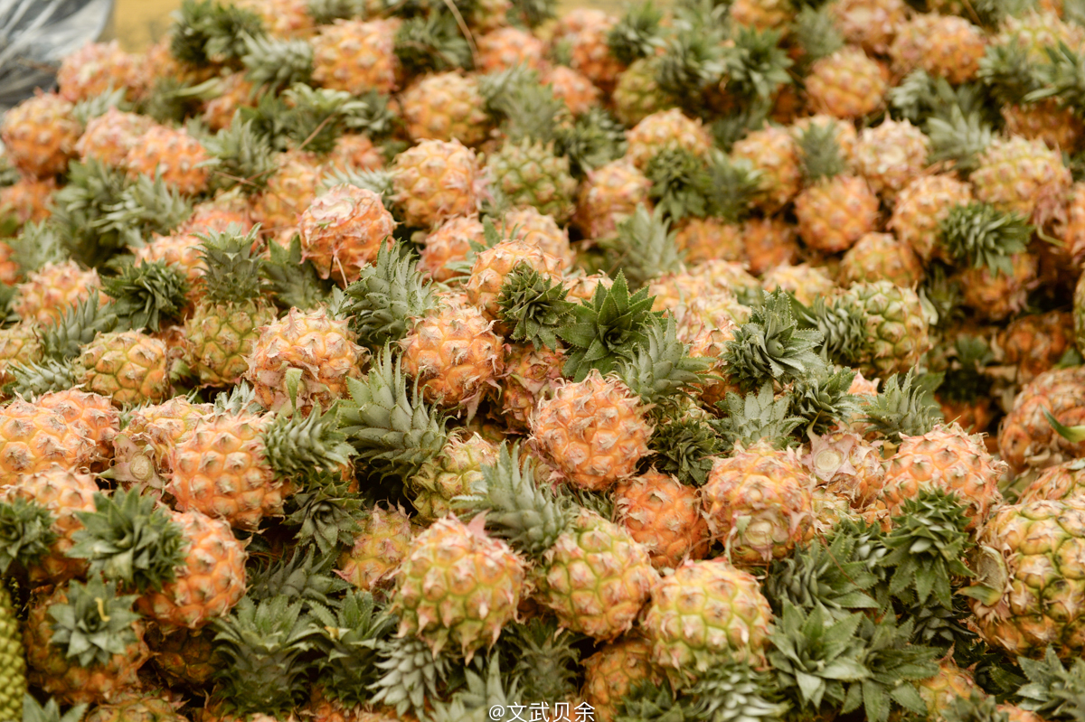 三亚海棠湾吃货攻略,三亚美食攻略最详细