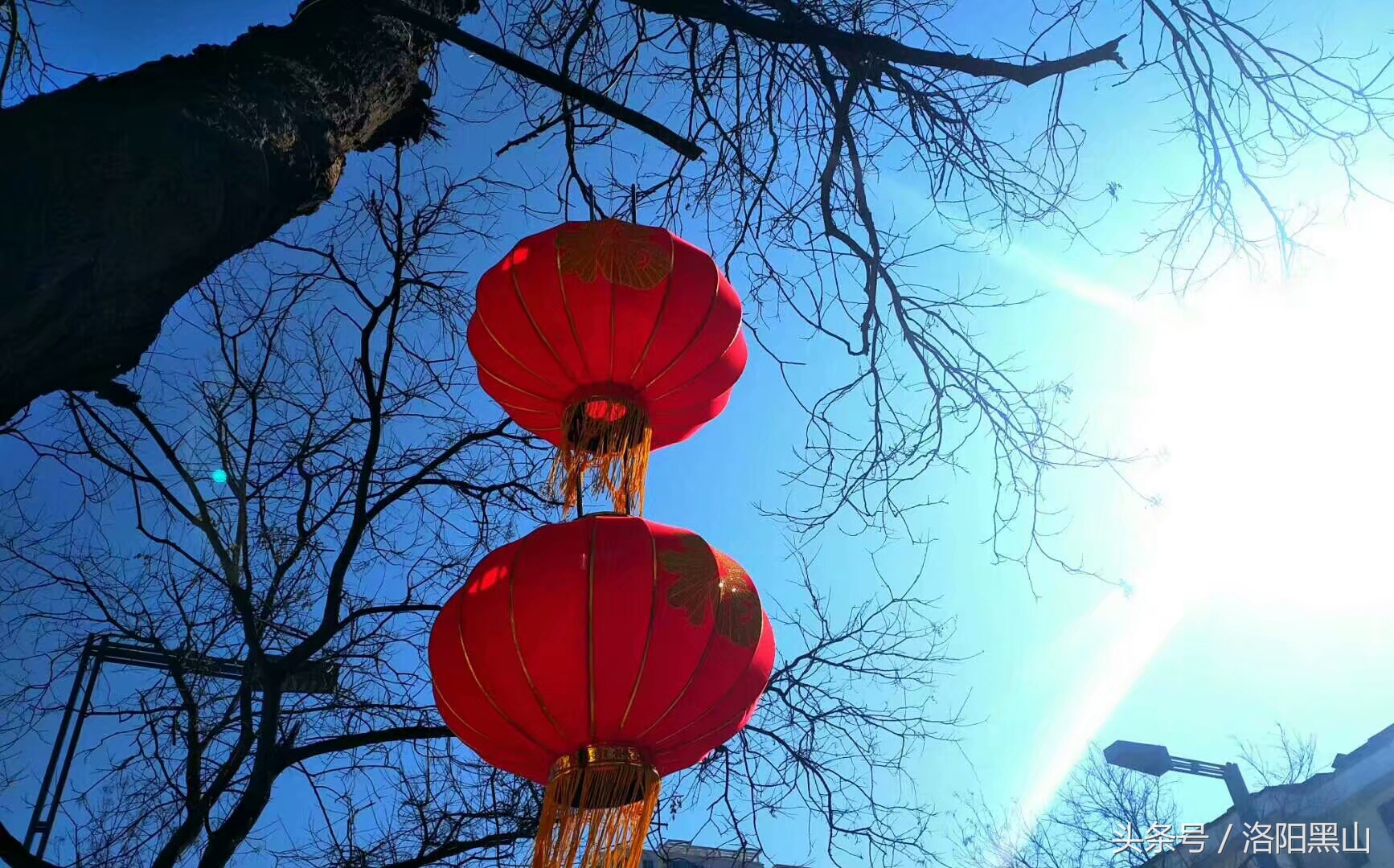 宜阳灯笼,宜阳元宵挂灯