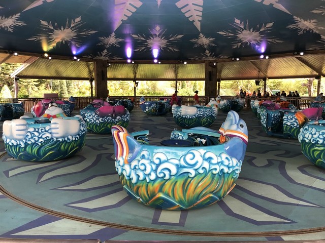 两天一晚珠海长隆旅游攻略,珠海长隆旅行一日游需要准备什么