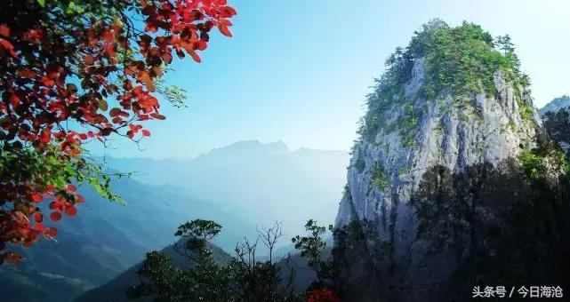 海沧，你凭什么？