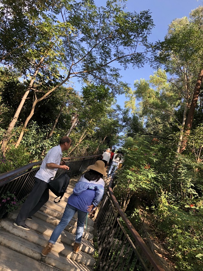 初次带着爸妈去旅行海南三亚-海口六日随心游