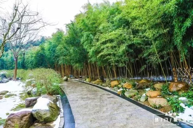 上海17号线朱家角到古镇,上海17号线东方绿舟