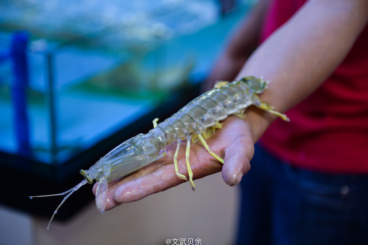 三亚海棠湾吃货攻略,三亚美食攻略最详细