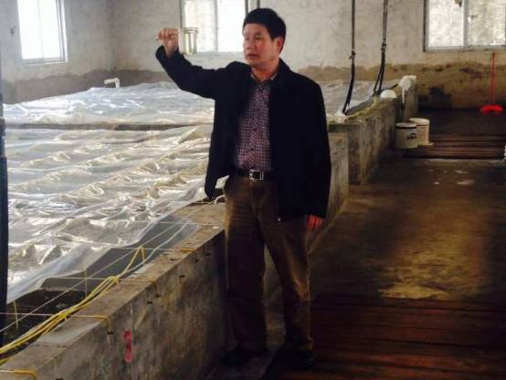 最好的虾苗品牌,新品虾苗