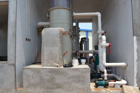 最好的虾苗品牌,新品虾苗